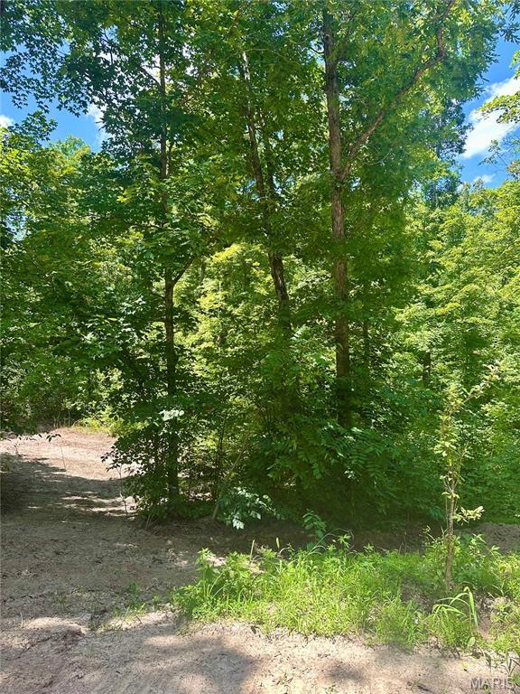 2518 N Bend Loop, Union, MO 63084 - photo 5