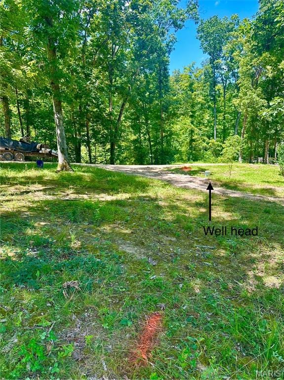 2518 N Bend Loop, Union, MO 63084 - photo 6