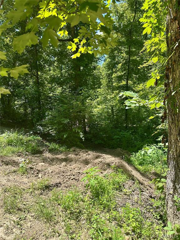 2518 N Bend Loop, Union, MO 63084 - photo 7