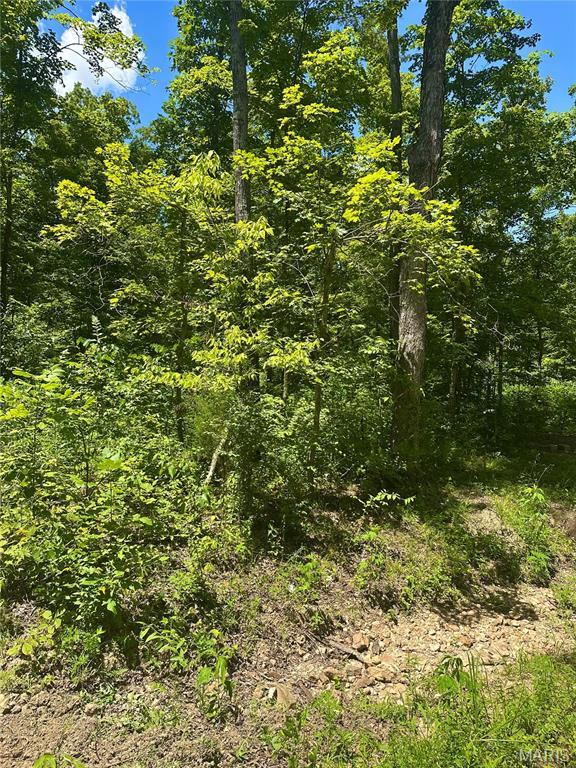2518 N Bend Loop, Union, MO 63084 - photo 8