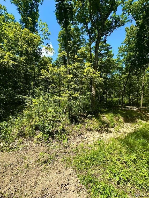 2518 N Bend Loop, Union, MO 63084 - photo 9