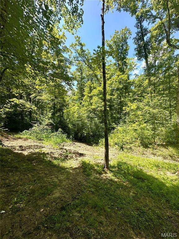2518 N Bend Loop, Union, MO 63084 - photo 10