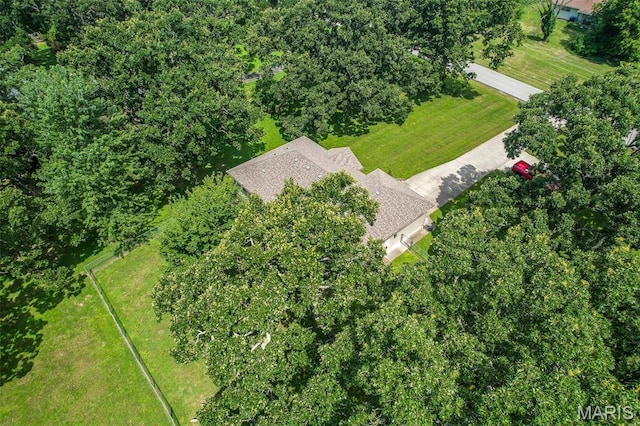 206 Raef Rd, Lebanon, MO 65536 - photo 41