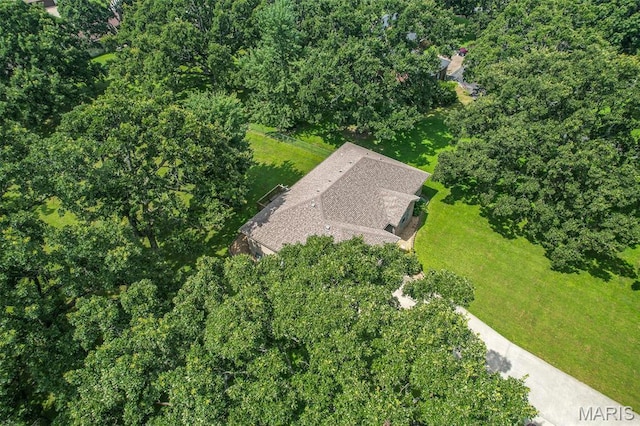 206 Raef Rd, Lebanon, MO 65536 - photo 42
