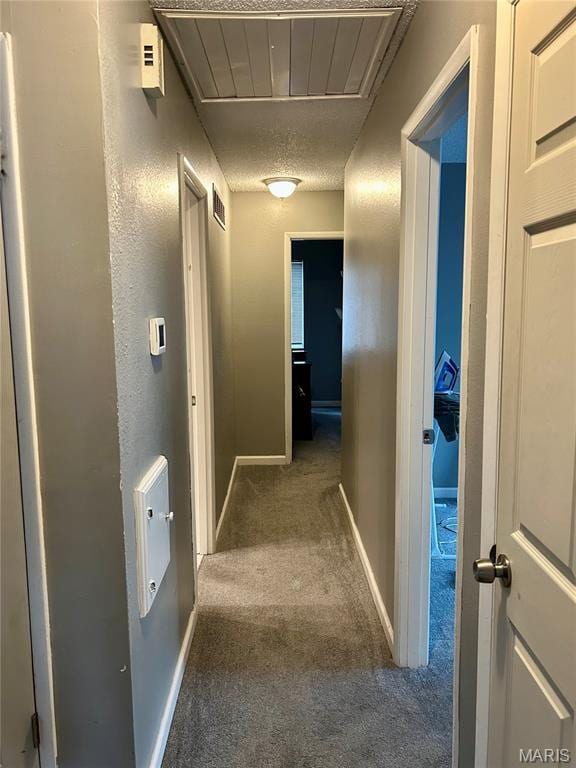 1902 Cathedral Hill Dr, Saint Louis, MO 63138 - photo 15