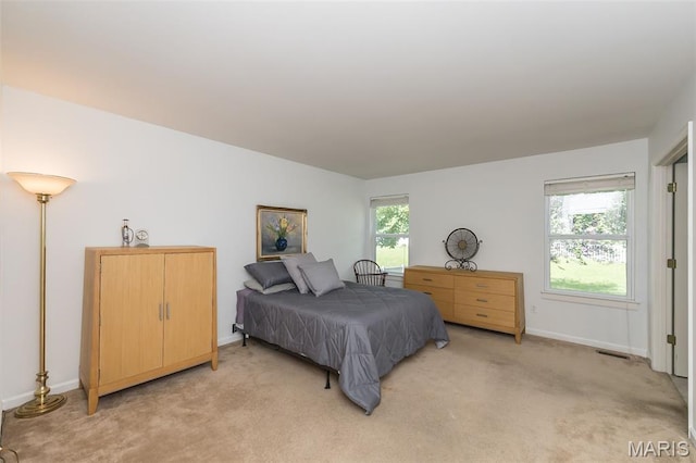 107 Behlmann Orchard Ct, Florissant, MO 63034 - photo 13