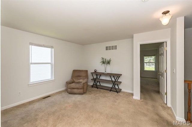 107 Behlmann Orchard Ct, Florissant, MO 63034 - photo 18