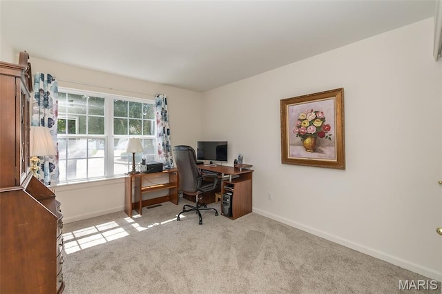 107 Behlmann Orchard Ct, Florissant, MO 63034 - photo 20