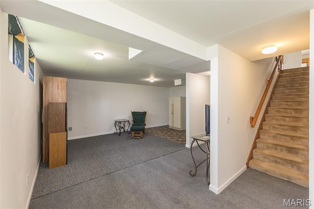 107 Behlmann Orchard Ct, Florissant, MO 63034 - photo 22