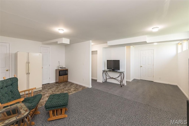 107 Behlmann Orchard Ct, Florissant, MO 63034 - photo 24