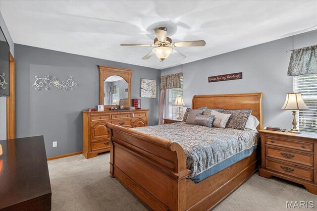 312 Silverthorne Dr, Freeburg, IL 62243 - photo 20