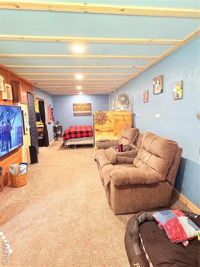 2110 State Highway Oo, Farmington, MO 63640 - photo 37