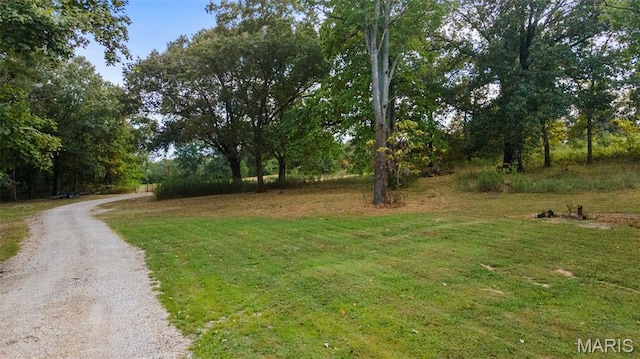 17708 State Highway K, Advance, MO 63730 - photo 16