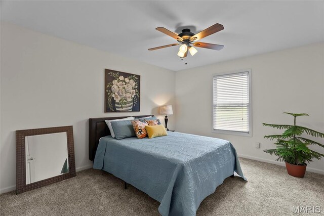 1211 Highland Circle Dr, Wentzville, MO 63385 - photo 38