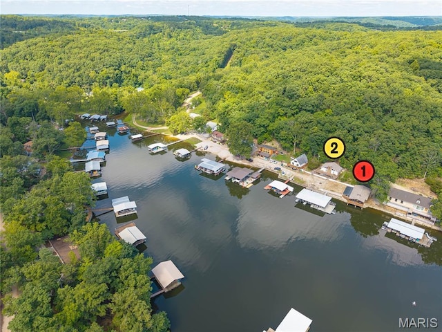 159 Bermuda Dr, Decaturville, MO 65020 - photo 40