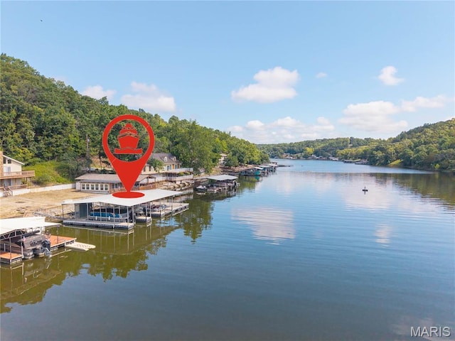 159 Bermuda Dr, Decaturville, MO 65020 - photo 41