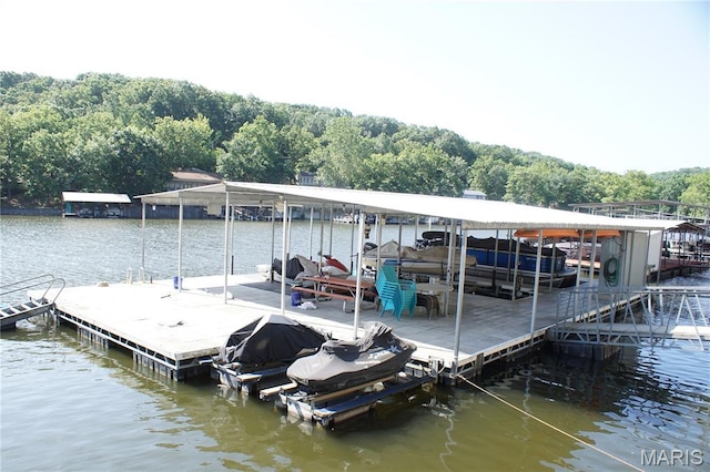 159 Bermuda Dr, Decaturville, MO 65020 - photo 44