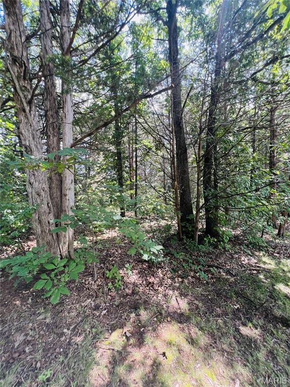 22733 Lick Creek Ests, Perry, MO 63462 - photo 16