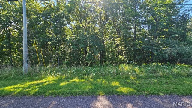 2437 Doe Run, Lake Sherwood, MO 63357 - photo 5