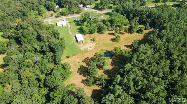 21525 State Highway B, Marble Hill, MO 63764 - photo 7