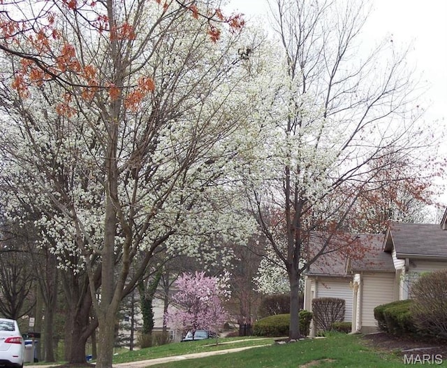 3110 Autumn Shores Dr, Maryland Heights, MO 63043 - photo 37