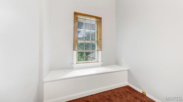 7131 Roland Blvd, Normandy, MO 63121 - photo 23