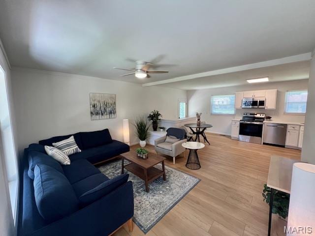 5337 Winthrop Dr, High Ridge, MO 63049 - photo 2