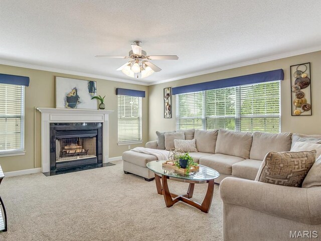 741 Bassett St, Ofallon, IL 62269 - photo 8