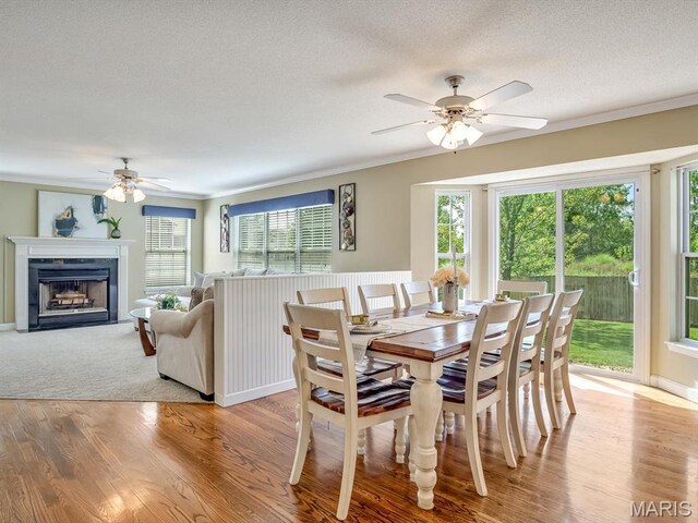 741 Bassett St, Ofallon, IL 62269 - photo 12