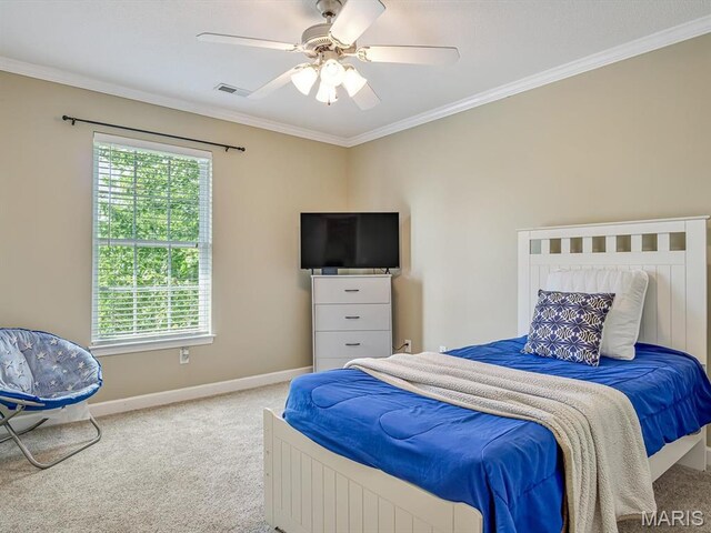 741 Bassett St, Ofallon, IL 62269 - photo 19