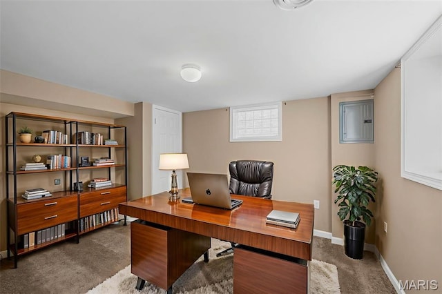 9301 Leona Ct, Affton, MO 63123 - photo 24