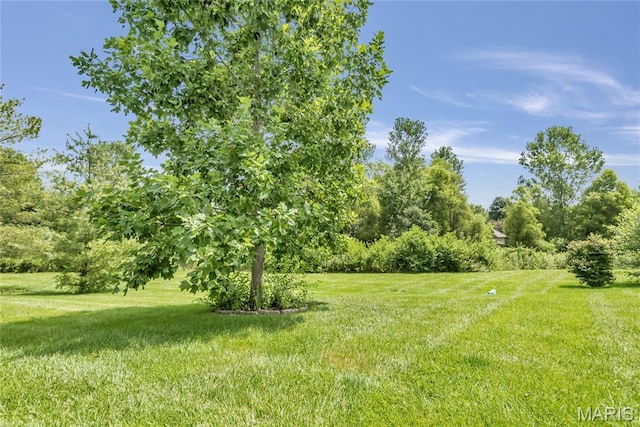362 Stone Village Dr, Wentzville, MO 63385 - photo 21