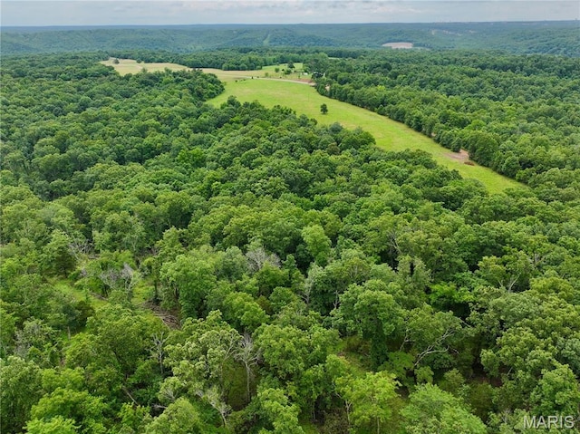 TBD Bobwhite Ln, Crocker, MO 65452 - photo 3