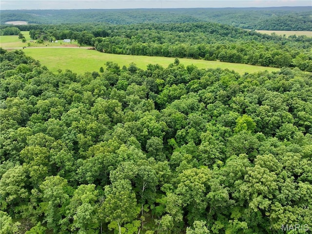 TBD Bobwhite Ln, Crocker, MO 65452 - photo 7