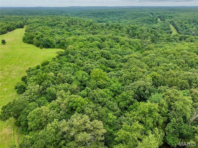 TBD Bobwhite Ln, Crocker, MO 65452 - photo 9