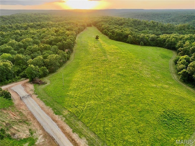 TBD Bobwhite Ln, Crocker, MO 65452 - photo 14