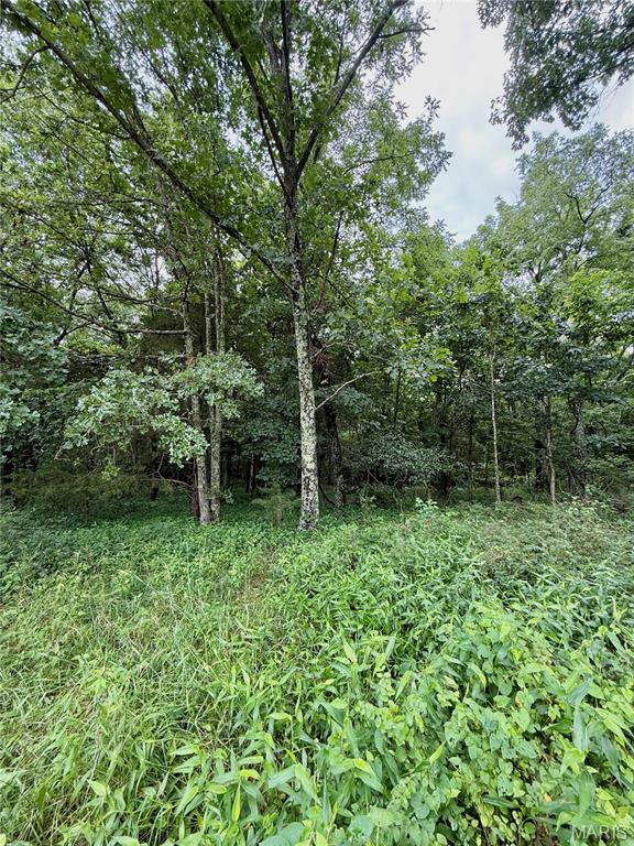 TBD Bobwhite Ln, Crocker, MO 65452 - photo 20