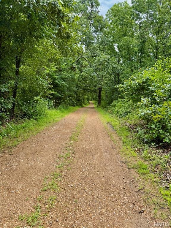 TBD Bobwhite Ln, Crocker, MO 65452 - photo 21