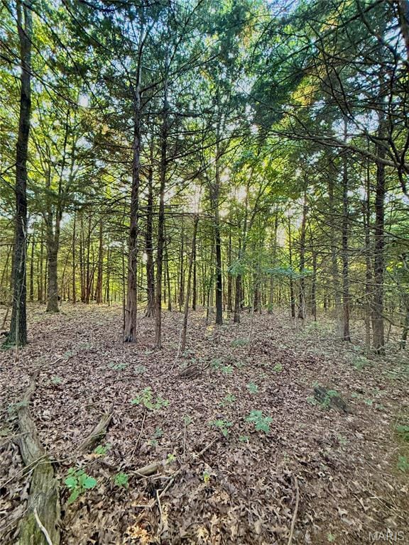 TBD Bobwhite Ln, Crocker, MO 65452 - photo 26