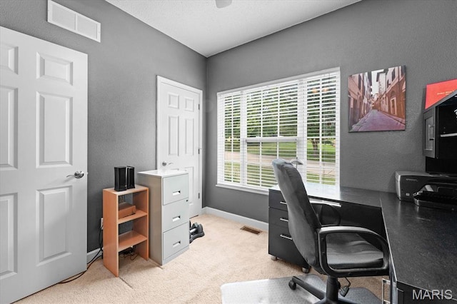 17 Tribe Ct, Shiloh, IL 62221 - photo 22