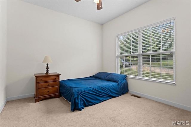 17 Tribe Ct, Shiloh, IL 62221 - photo 24