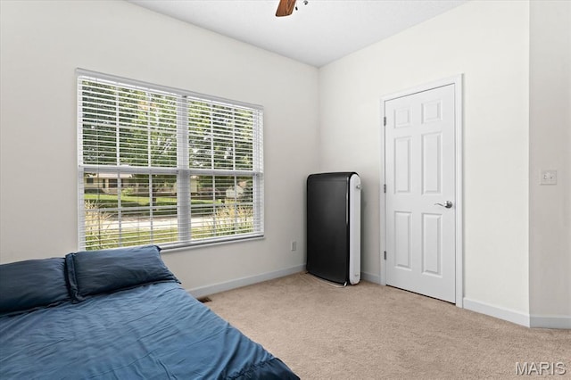 17 Tribe Ct, Shiloh, IL 62221 - photo 25