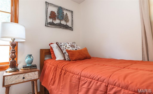 1003 S Warfel St, Salem, MO 65560 - photo 22