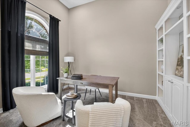 125 Gardner Pl, Saint Charles, MO 63301 - photo 5