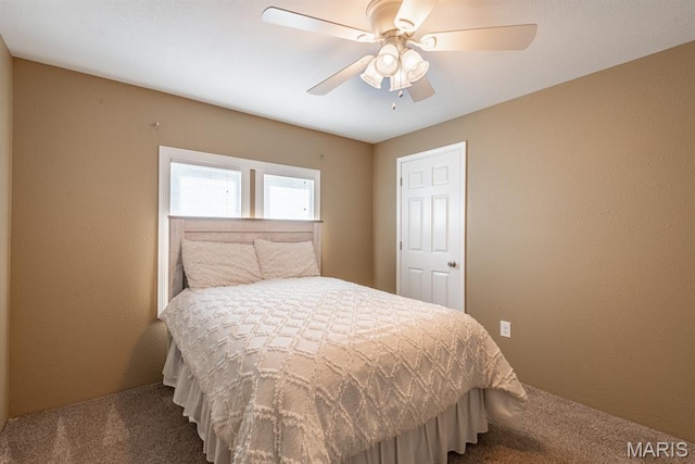 244 W N St, Perryville, MO 63775 - photo 28