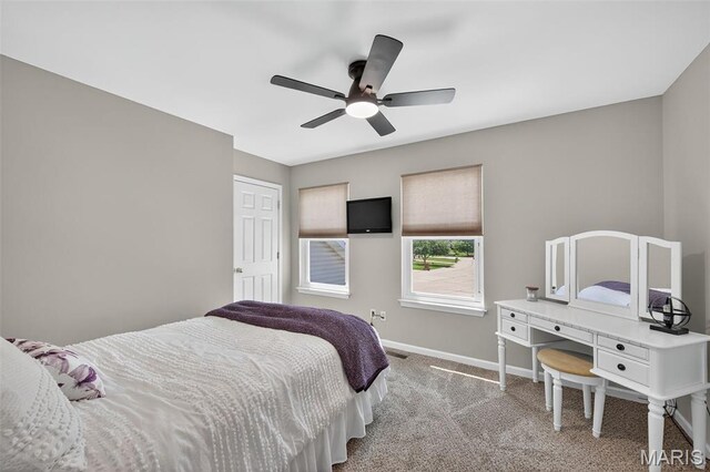 1471 Cochise Dr, Ofallon, MO 63366 - photo 18