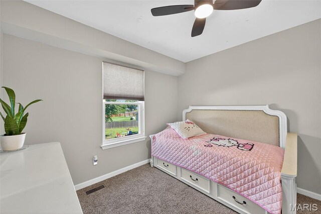 1471 Cochise Dr, Ofallon, MO 63366 - photo 20