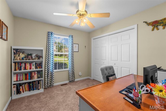 2535 Mansfield Pl, Jackson, MO 63755 - photo 18