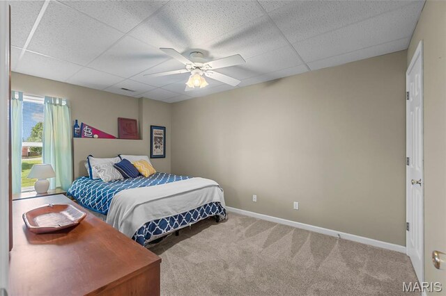 2535 Mansfield Pl, Jackson, MO 63755 - photo 32