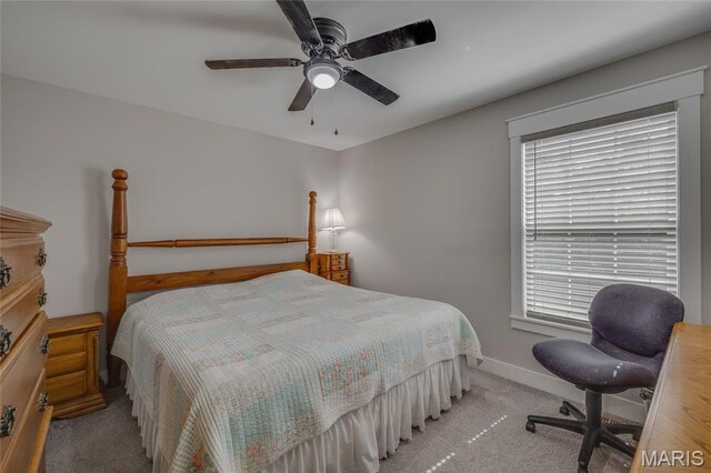 18024 Heritage Dr, Farmington, MO 63640 - photo 19